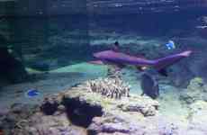 Xtrallusion photo gallery of Italy. Photos, pictures, images and photographs of the Italian Rivieras, the Italian Lakes, the Italian Alps, the Cinque Terre, the Amalfi coast and some of the most beautiful corners of Italy. Plus photos of Italian cities such as Pisa, Milan, Genoa and Rome.